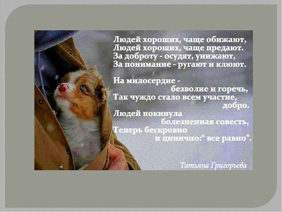 Гуманное отношение к животным - Скачать презентации бесплатно | Читать или скачать учебники для школы онлайн бесплатно ☑ Школьные учебники school-textbook.com