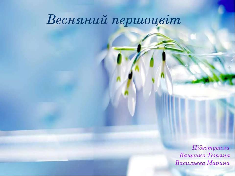 Першоцвіти - Скачать презентации бесплатно | Читать или скачать учебники для школы онлайн бесплатно ☑ Школьные учебники school-textbook.com