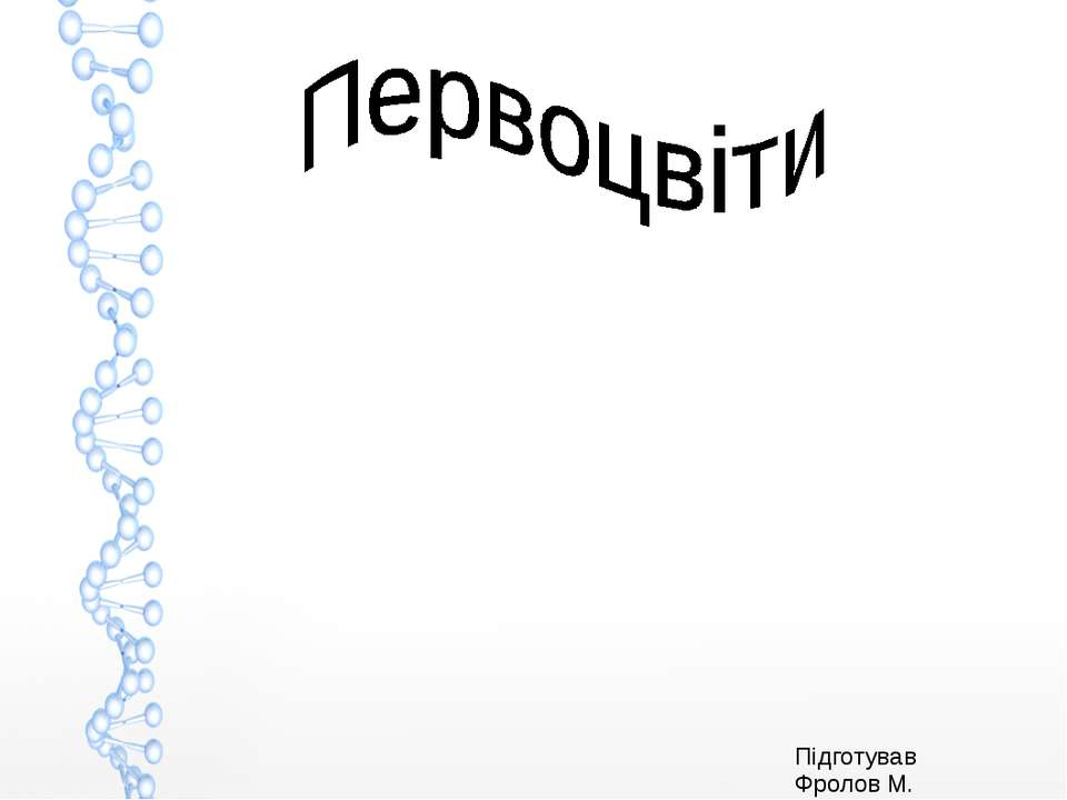 Первоцвіти - Скачать презентации бесплатно | Читать или скачать учебники для школы онлайн бесплатно ☑ Школьные учебники school-textbook.com