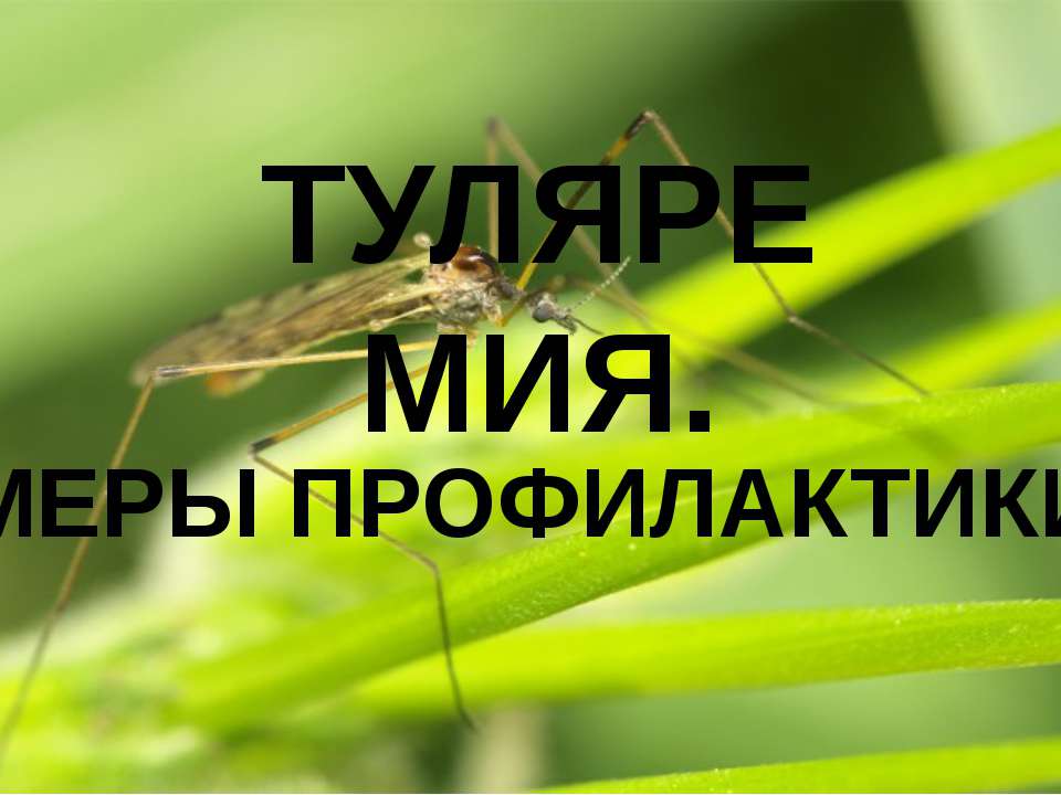 Туляремия - Скачать презентации бесплатно | Читать или скачать учебники для школы онлайн бесплатно ☑ Школьные учебники school-textbook.com