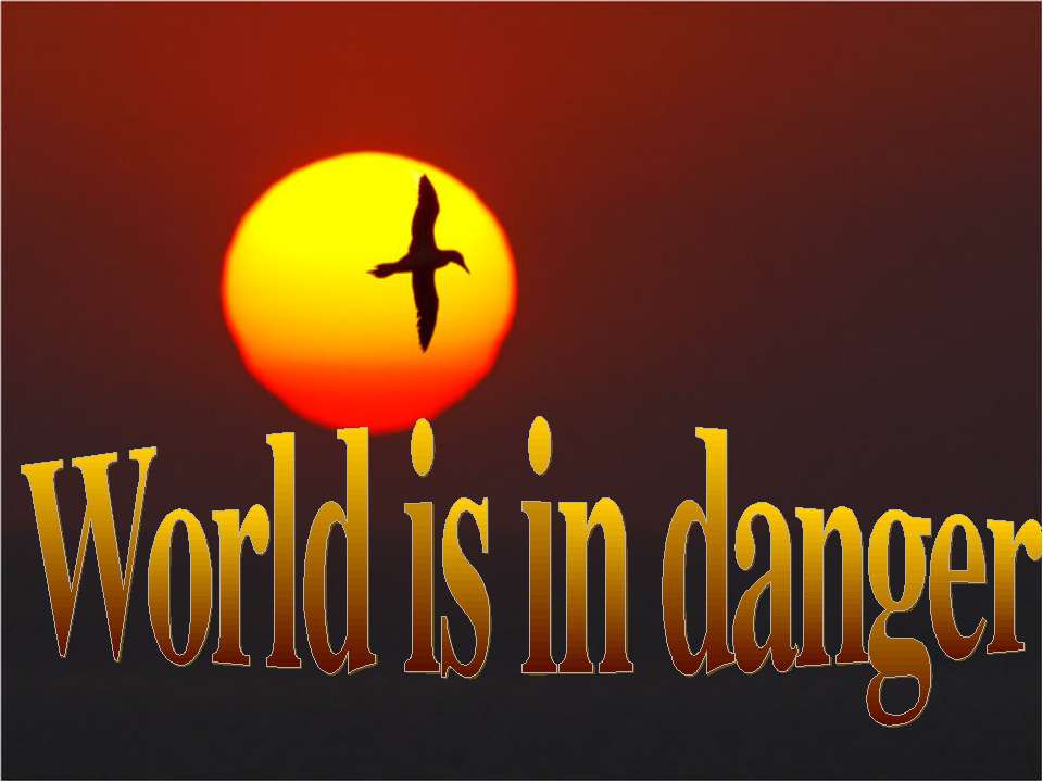 Protecting animals - Скачать презентации бесплатно | Читать или скачать учебники для школы онлайн бесплатно ☑ Школьные учебники school-textbook.com