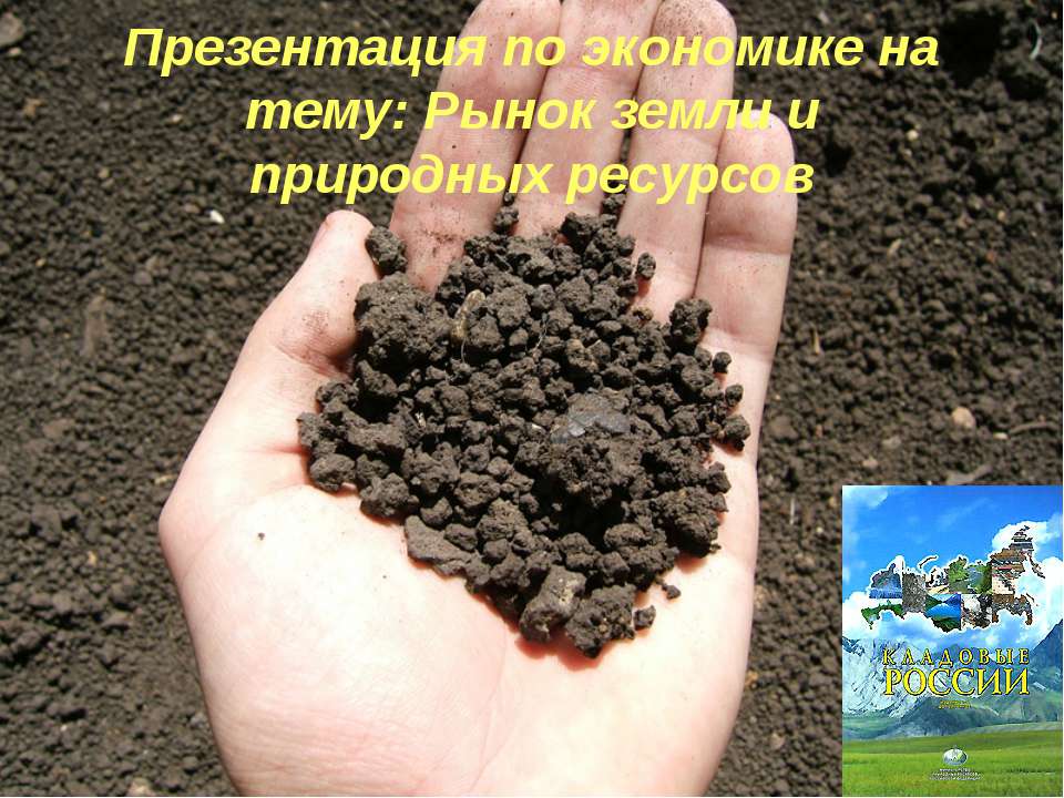 ринок інформації - Скачать презентации бесплатно | Читать или скачать учебники для школы онлайн бесплатно ☑ Школьные учебники school-textbook.com