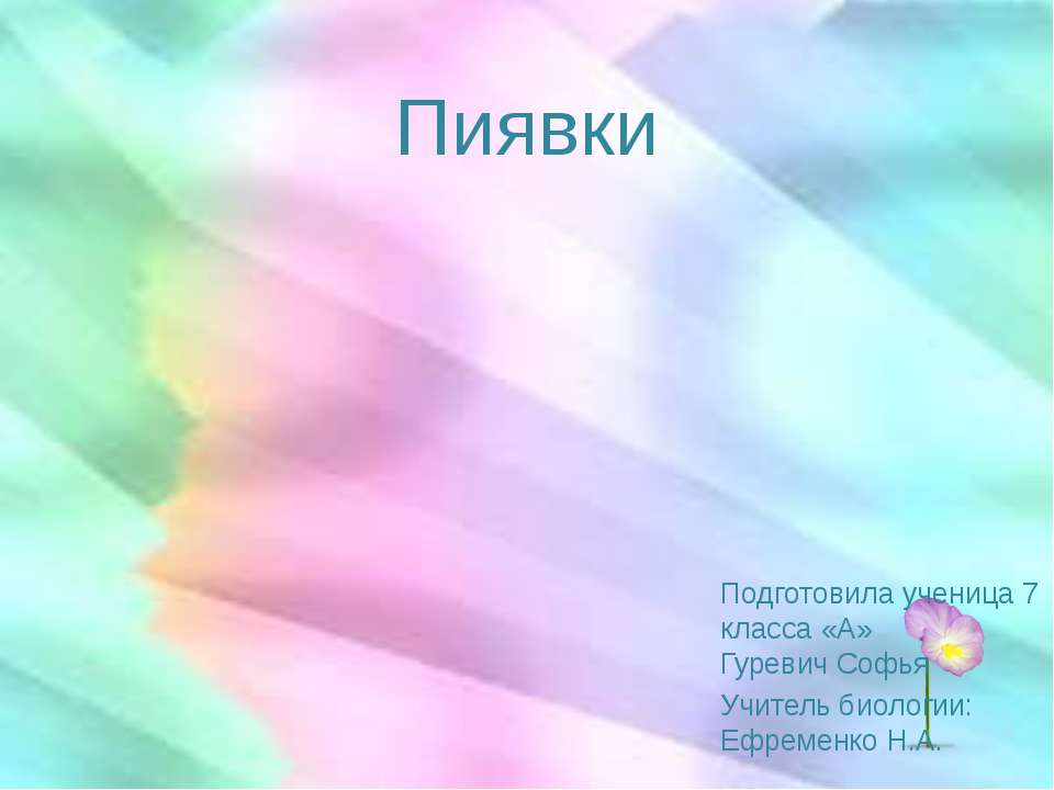 Пиявки - Скачать презентации бесплатно | Читать или скачать учебники для школы онлайн бесплатно ☑ Школьные учебники school-textbook.com