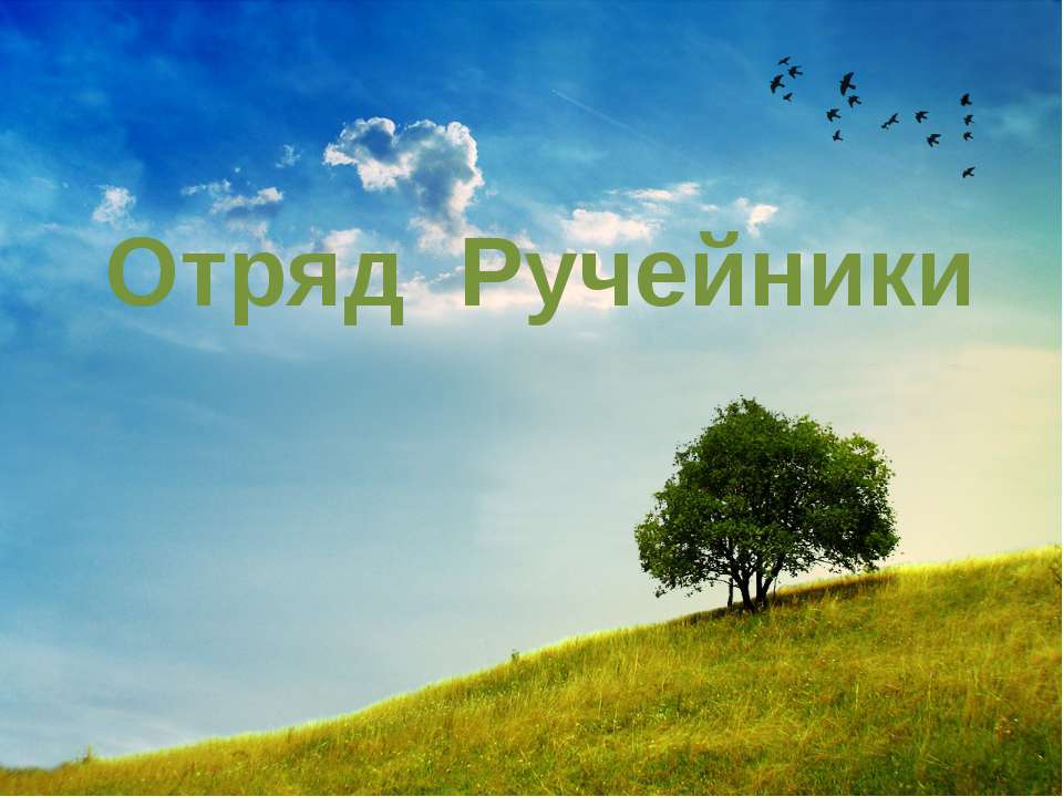 Отряд Ручейники - Скачать презентации бесплатно | Читать или скачать учебники для школы онлайн бесплатно ☑ Школьные учебники school-textbook.com