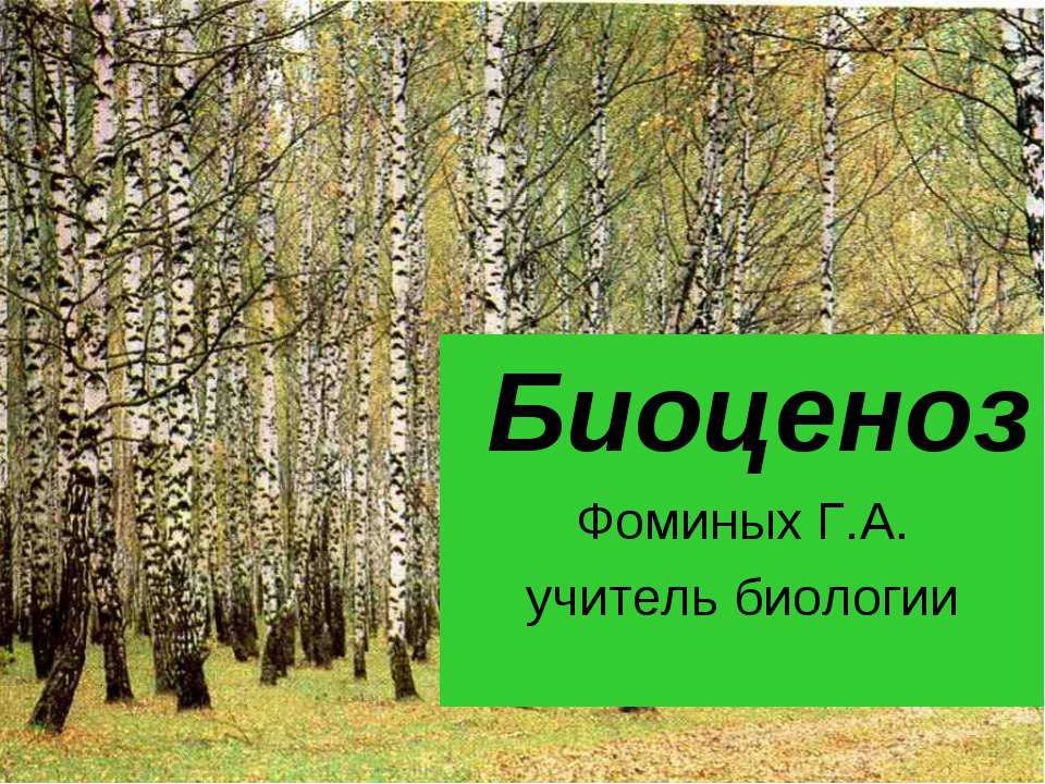 Биоценоз  - Скачать презентации бесплатно | Читать или скачать учебники для школы онлайн бесплатно ☑ Школьные учебники school-textbook.com