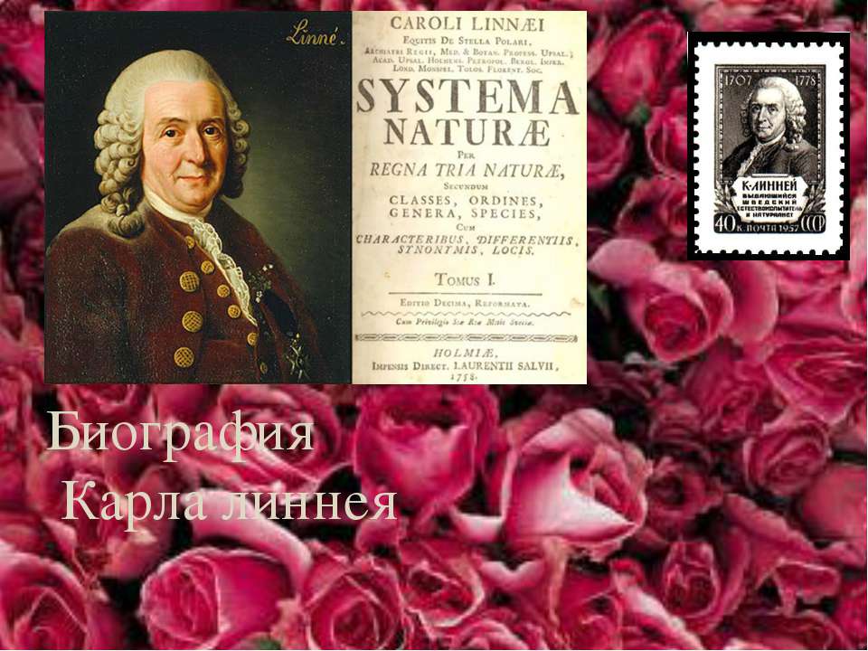 Биография Карла линнея - Скачать презентации бесплатно | Читать или скачать учебники для школы онлайн бесплатно ☑ Школьные учебники school-textbook.com
