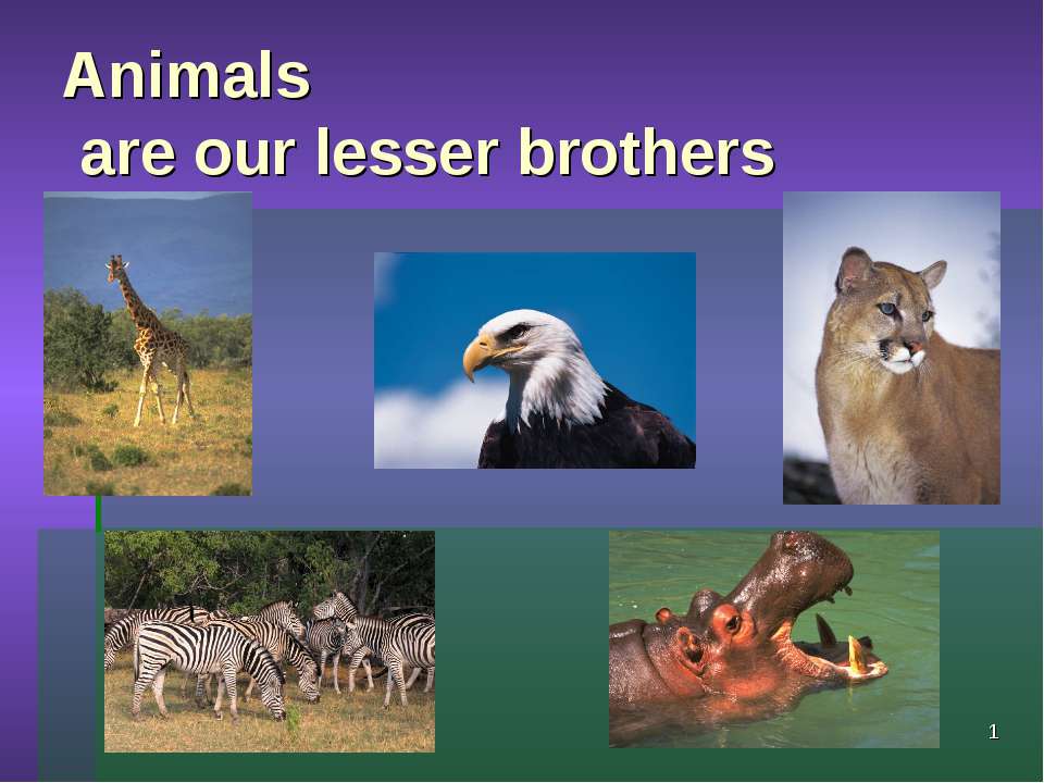 Animals are our lesser brothers  - Скачать презентации бесплатно | Читать или скачать учебники для школы онлайн бесплатно ☑ Школьные учебники school-textbook.com