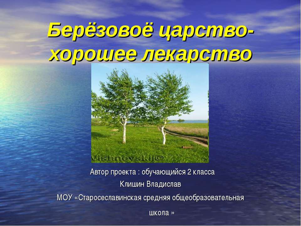 Берёзовоё царство- хорошее лекарство  - Скачать презентации бесплатно | Читать или скачать учебники для школы онлайн бесплатно ☑ Школьные учебники school-textbook.com