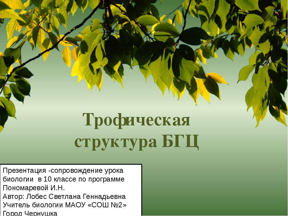 Трофическая структура БГЦ  - Скачать презентации бесплатно | Читать или скачать учебники для школы онлайн бесплатно ☑ Школьные учебники school-textbook.com