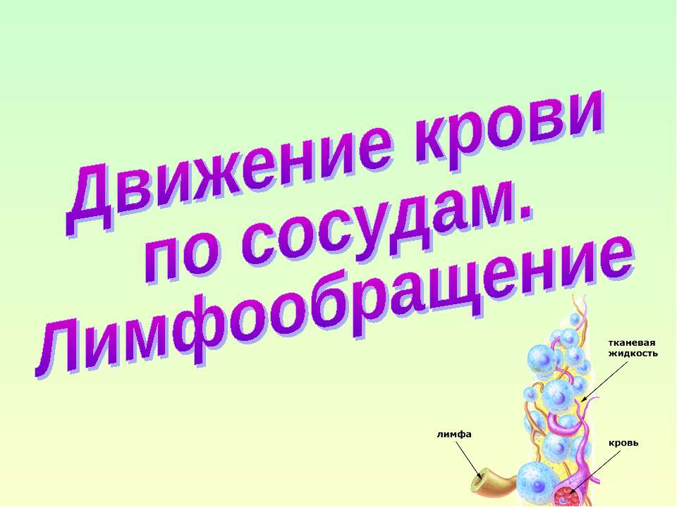 Движение крови по сосудам. Лимфообращение  - Скачать презентации бесплатно | Читать или скачать учебники для школы онлайн бесплатно ☑ Школьные учебники school-textbook.com