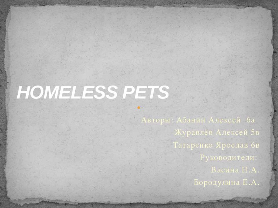Homeless Pets  - Скачать презентации бесплатно | Читать или скачать учебники для школы онлайн бесплатно ☑ Школьные учебники school-textbook.com
