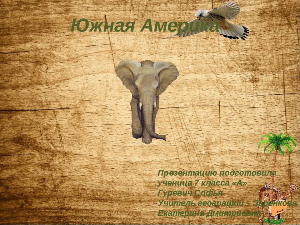 Население Южной Америки 7 класс  - Скачать презентации бесплатно | Читать или скачать учебники для школы онлайн бесплатно ☑ Школьные учебники school-textbook.com