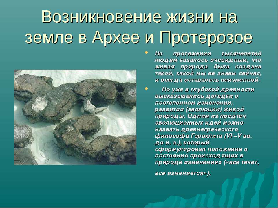 Возникновение жизни на земле в Архее и Протерозое  - Скачать презентации бесплатно | Читать или скачать учебники для школы онлайн бесплатно ☑ Школьные учебники school-textbook.com