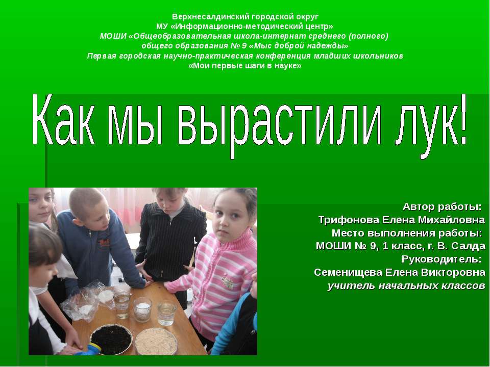 Как мы вырастили лук! - Скачать презентации бесплатно | Читать или скачать учебники для школы онлайн бесплатно ☑ Школьные учебники school-textbook.com