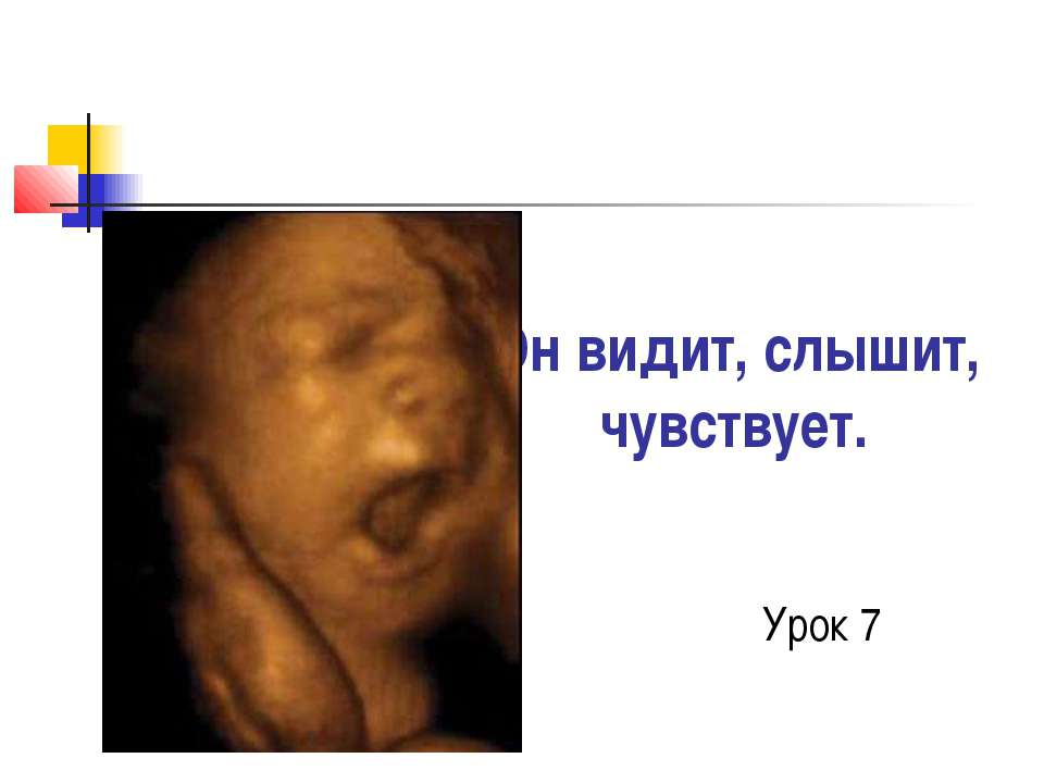 Он видит, слышит, чувствует  - Скачать презентации бесплатно | Читать или скачать учебники для школы онлайн бесплатно ☑ Школьные учебники school-textbook.com