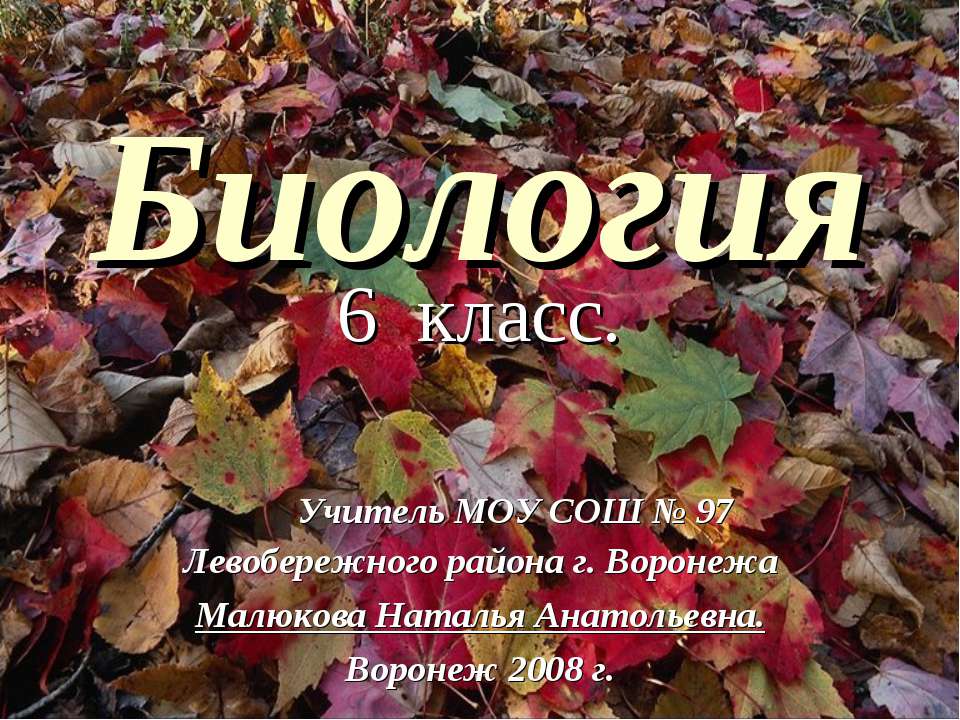 Биология 6 класс - Скачать презентации бесплатно | Читать или скачать учебники для школы онлайн бесплатно ☑ Школьные учебники school-textbook.com