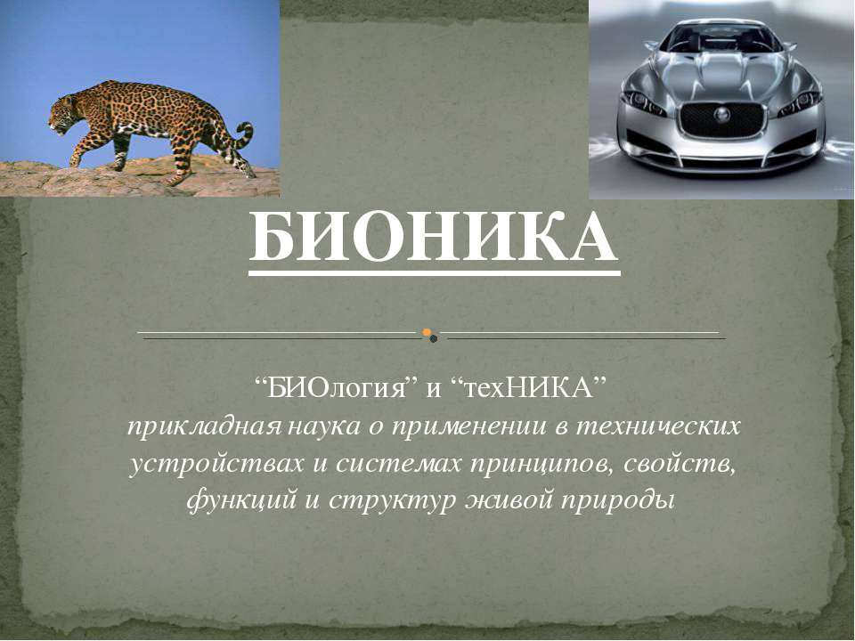 Бионика как отдельная наука - Скачать презентации бесплатно | Читать или скачать учебники для школы онлайн бесплатно ☑ Школьные учебники school-textbook.com
