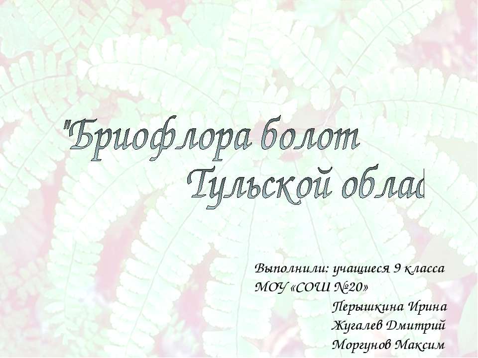 Бриофлора болот Тульской области  - Скачать презентации бесплатно | Читать или скачать учебники для школы онлайн бесплатно ☑ Школьные учебники school-textbook.com