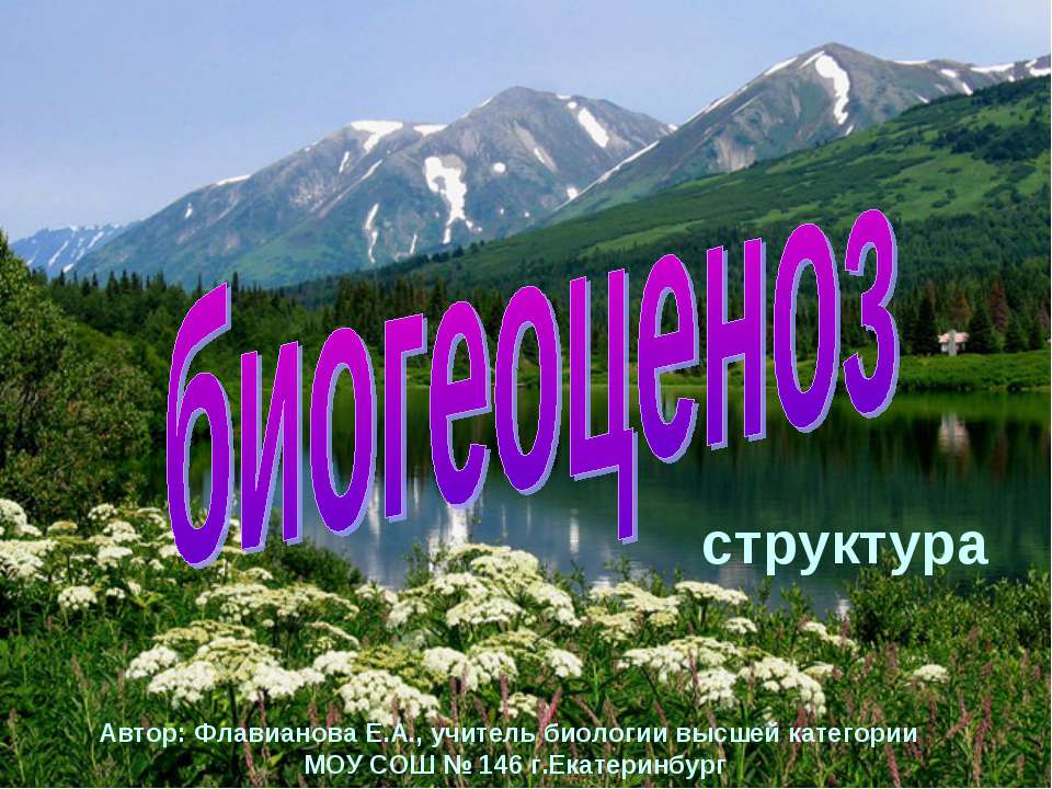Биогеоценоз структура  - Скачать презентации бесплатно | Читать или скачать учебники для школы онлайн бесплатно ☑ Школьные учебники school-textbook.com