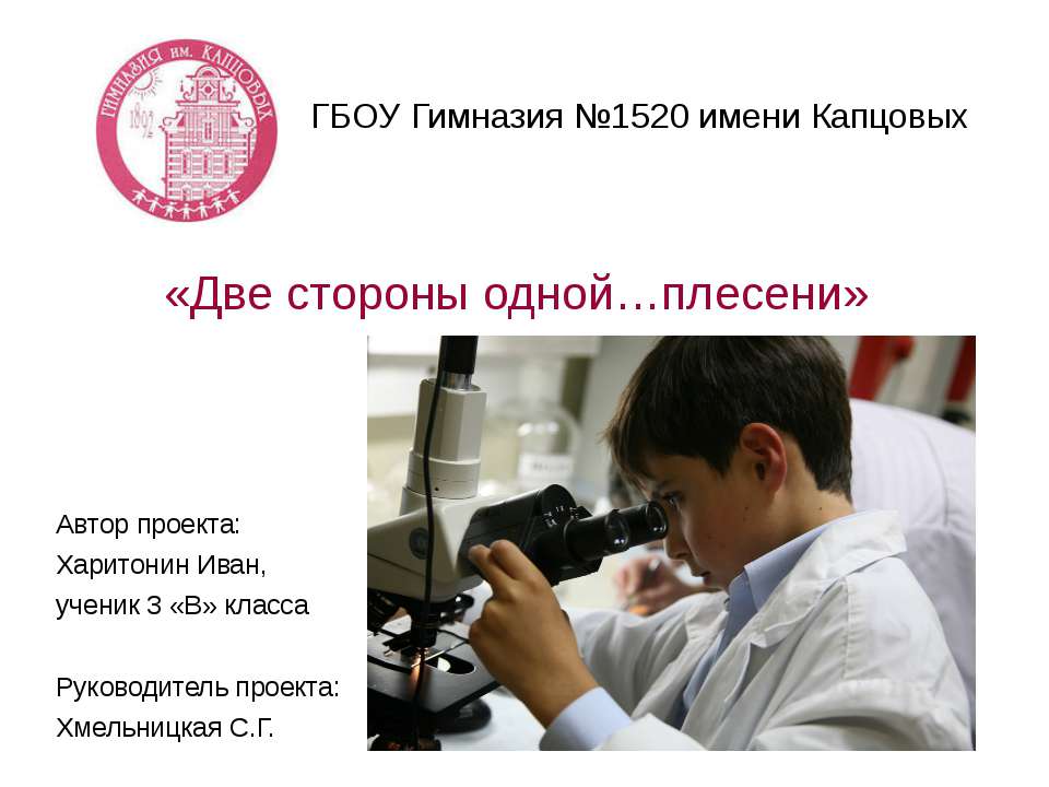 Две стороны одной…плесени - Скачать презентации бесплатно | Читать или скачать учебники для школы онлайн бесплатно ☑ Школьные учебники school-textbook.com