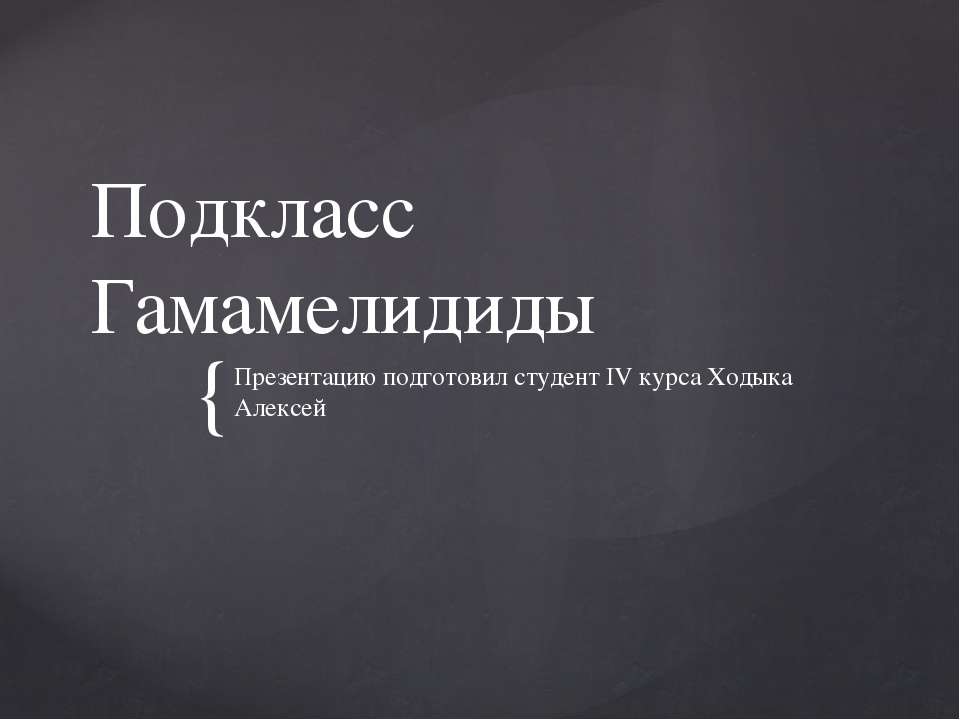 Подкласс Гамамелидиды  - Скачать презентации бесплатно | Читать или скачать учебники для школы онлайн бесплатно ☑ Школьные учебники school-textbook.com