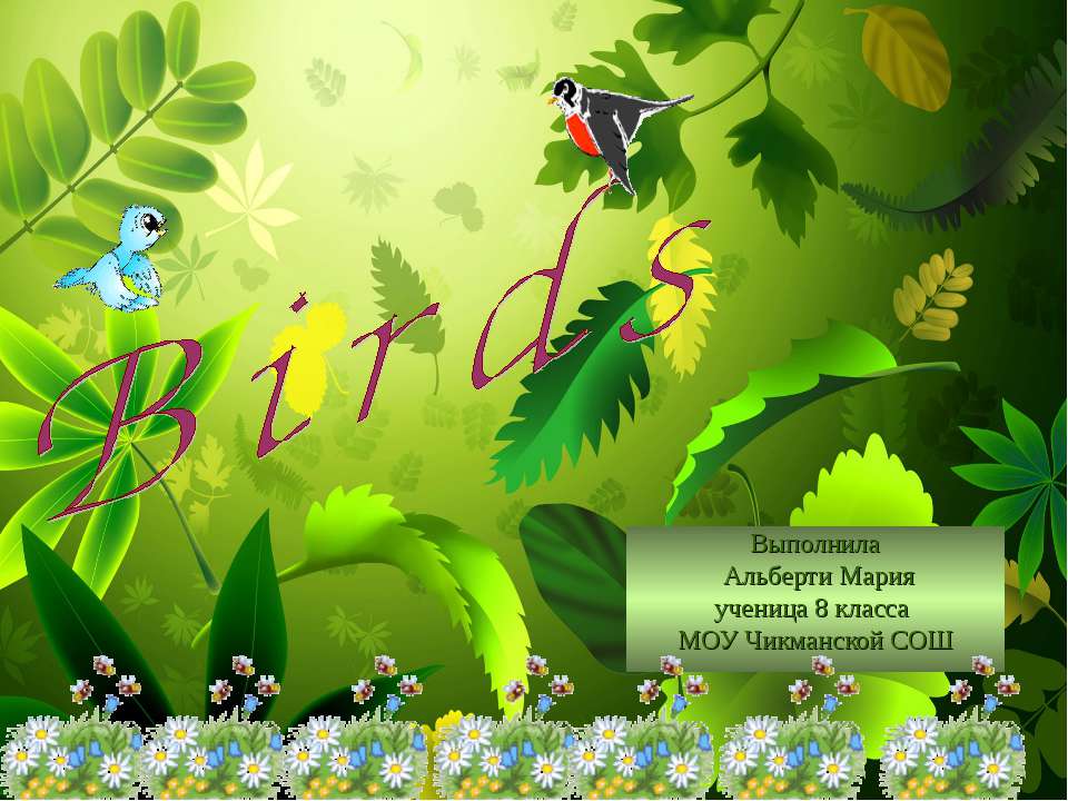 Birds - Скачать презентации бесплатно | Читать или скачать учебники для школы онлайн бесплатно ☑ Школьные учебники school-textbook.com