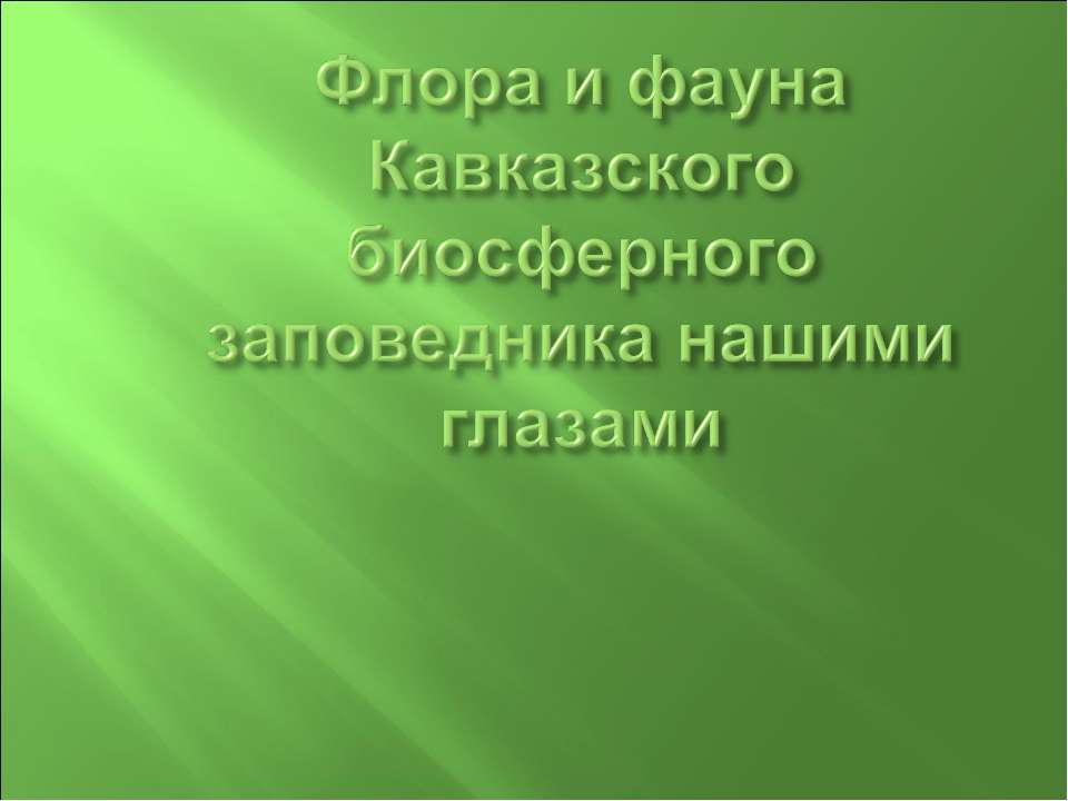 Флора и фауна Кавказского биосферного заповедника нашими глазами  - Скачать презентации бесплатно | Читать или скачать учебники для школы онлайн бесплатно ☑ Школьные учебники school-textbook.com