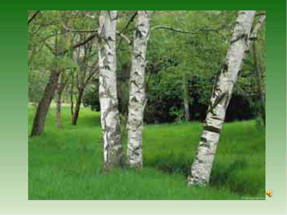 С лукошком за грибами  - Скачать презентации бесплатно | Читать или скачать учебники для школы онлайн бесплатно ☑ Школьные учебники school-textbook.com