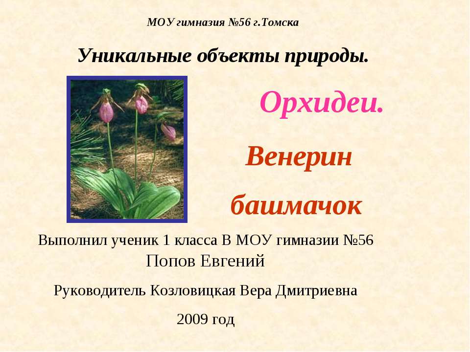 Орхидеи. Венерин башмачок - Скачать презентации бесплатно | Читать или скачать учебники для школы онлайн бесплатно ☑ Школьные учебники school-textbook.com