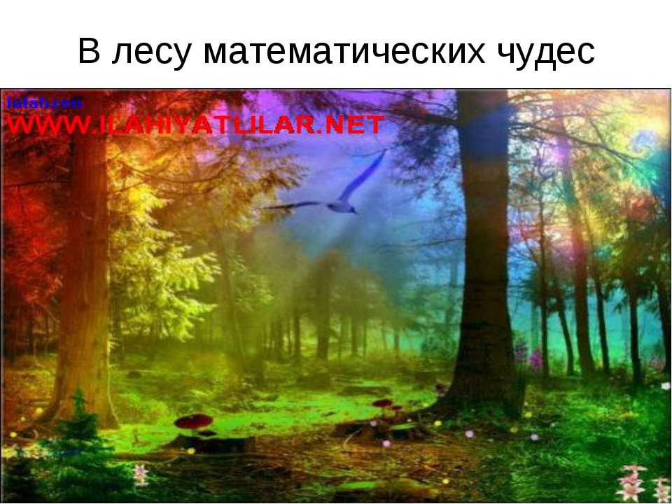 В лесу математических чудес - Скачать презентации бесплатно | Читать или скачать учебники для школы онлайн бесплатно ☑ Школьные учебники school-textbook.com