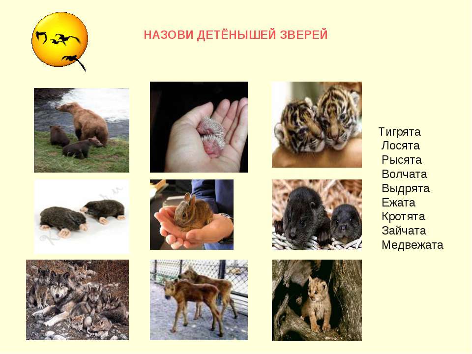 Назови детёнышей зверей  - Скачать презентации бесплатно | Читать или скачать учебники для школы онлайн бесплатно ☑ Школьные учебники school-textbook.com