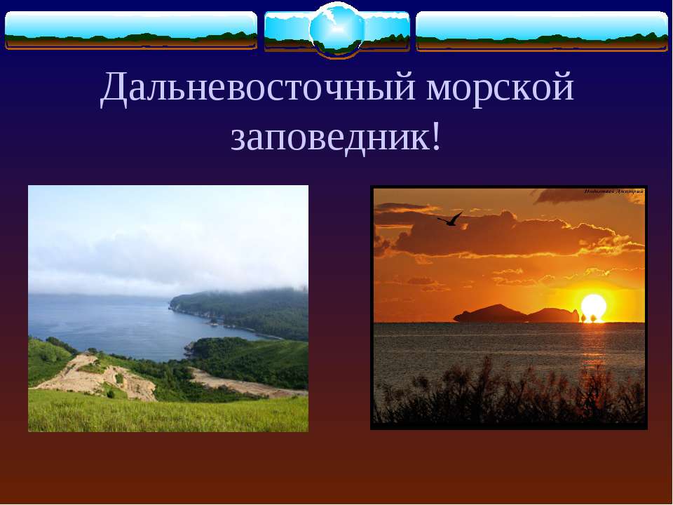 Дальневосточный морской заповедник! - Скачать презентации бесплатно | Читать или скачать учебники для школы онлайн бесплатно ☑ Школьные учебники school-textbook.com