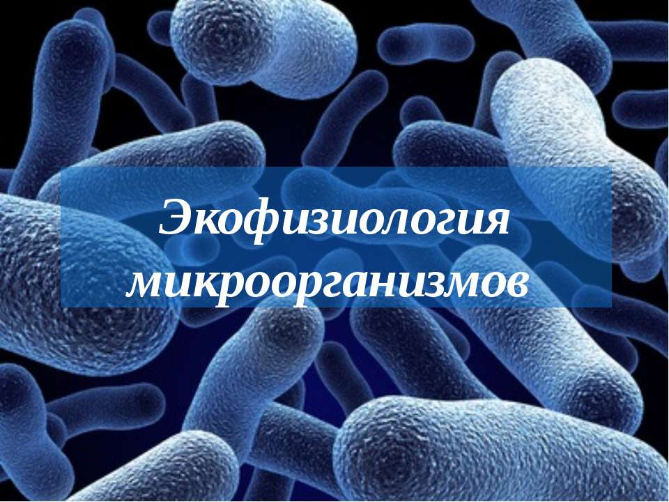 Экофизиология микроорганизмов - Скачать презентации бесплатно | Читать или скачать учебники для школы онлайн бесплатно ☑ Школьные учебники school-textbook.com