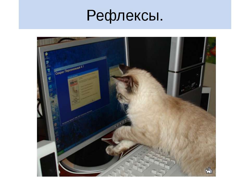 Рефлексы - Скачать презентации бесплатно | Читать или скачать учебники для школы онлайн бесплатно ☑ Школьные учебники school-textbook.com