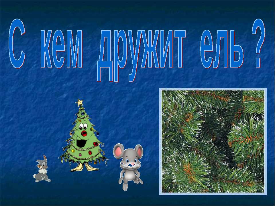 С кем дружит ель - Скачать презентации бесплатно | Читать или скачать учебники для школы онлайн бесплатно ☑ Школьные учебники school-textbook.com