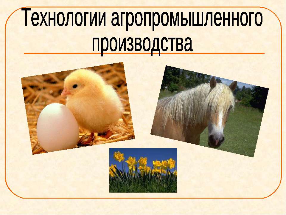 Технологии агропромышленного производства  - Скачать презентации бесплатно | Читать или скачать учебники для школы онлайн бесплатно ☑ Школьные учебники school-textbook.com
