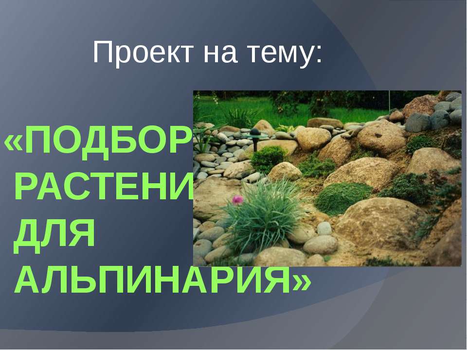 Подбор растений для Альпинария - Скачать презентации бесплатно | Читать или скачать учебники для школы онлайн бесплатно ☑ Школьные учебники school-textbook.com