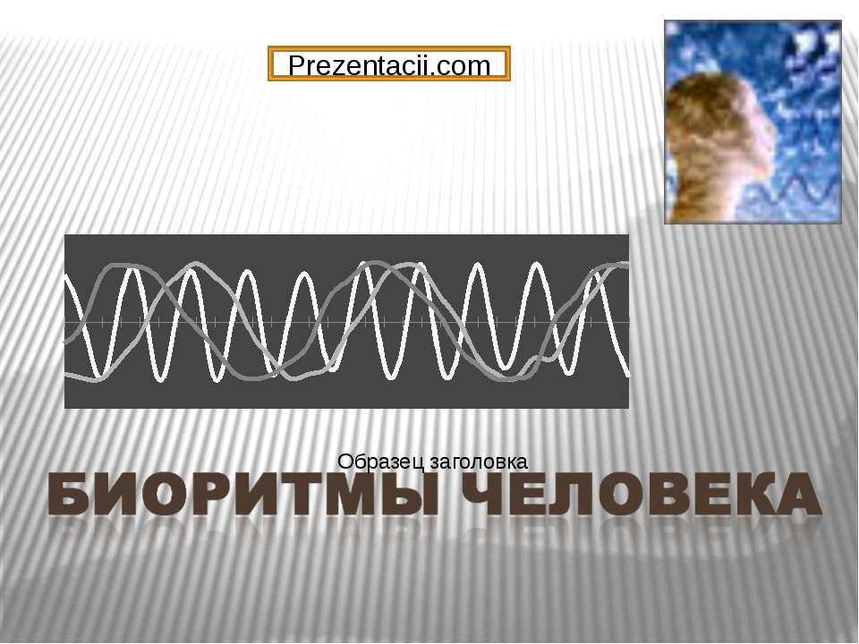Биоритмы человека - Скачать презентации бесплатно | Читать или скачать учебники для школы онлайн бесплатно ☑ Школьные учебники school-textbook.com