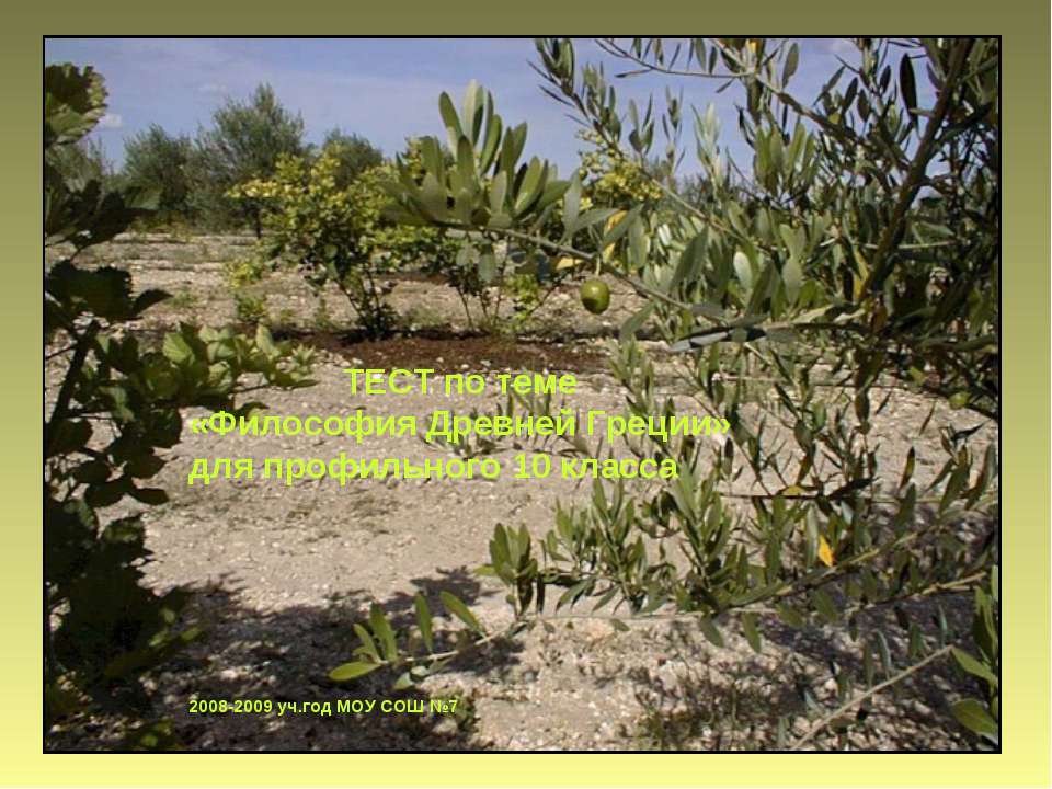 Философия Древней Греции - Скачать презентации бесплатно | Читать или скачать учебники для школы онлайн бесплатно ☑ Школьные учебники school-textbook.com