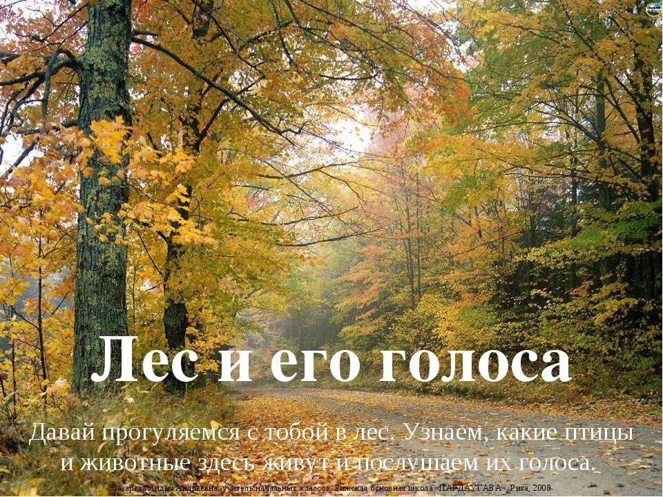 Лес и его голоса - Скачать презентации бесплатно | Читать или скачать учебники для школы онлайн бесплатно ☑ Школьные учебники school-textbook.com