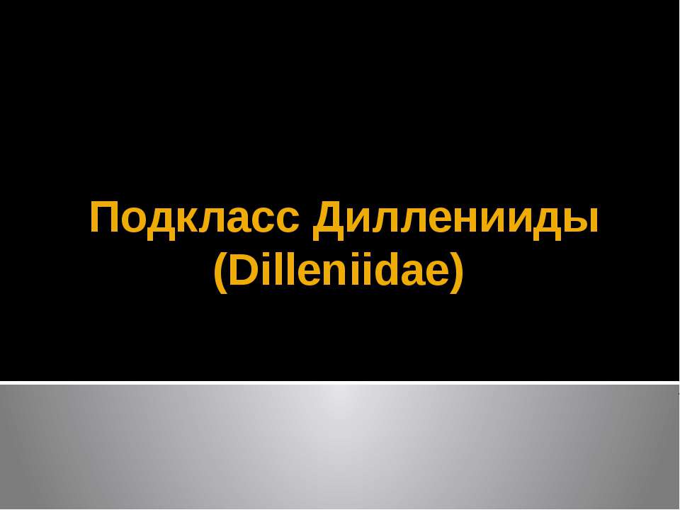 Подкласс Дилленииды (Dilleniidae) - Скачать презентации бесплатно | Читать или скачать учебники для школы онлайн бесплатно ☑ Школьные учебники school-textbook.com