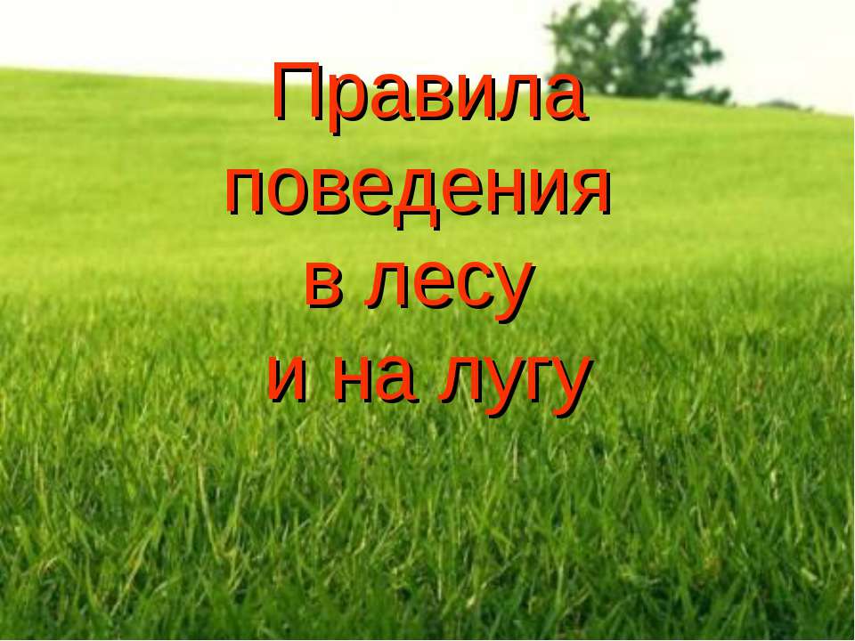 Правила поведения в лесу и на лугу - Скачать презентации бесплатно | Читать или скачать учебники для школы онлайн бесплатно ☑ Школьные учебники school-textbook.com
