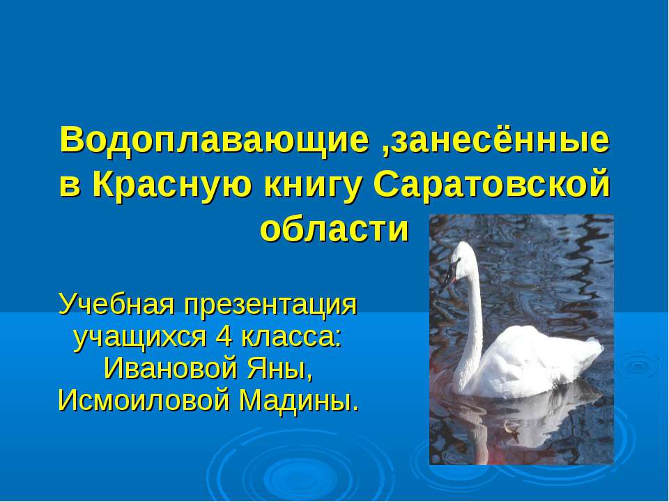 Водоплавающие ,занесённые в Красную книгу Саратовской области  - Скачать презентации бесплатно | Читать или скачать учебники для школы онлайн бесплатно ☑ Школьные учебники school-textbook.com