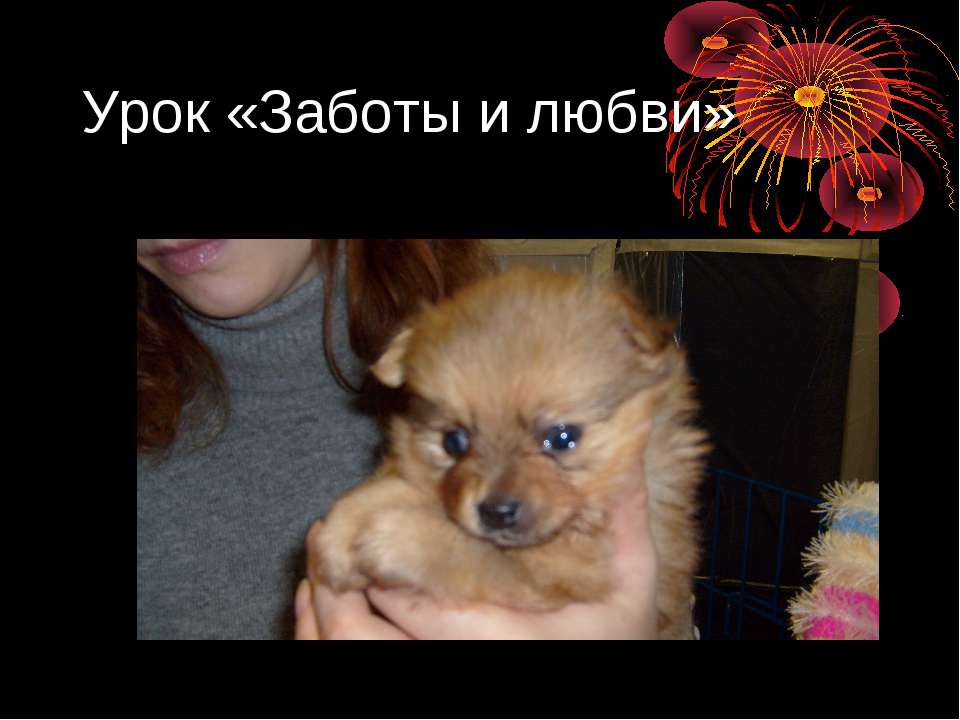 Урок «Заботы и любви» - Скачать презентации бесплатно | Читать или скачать учебники для школы онлайн бесплатно ☑ Школьные учебники school-textbook.com
