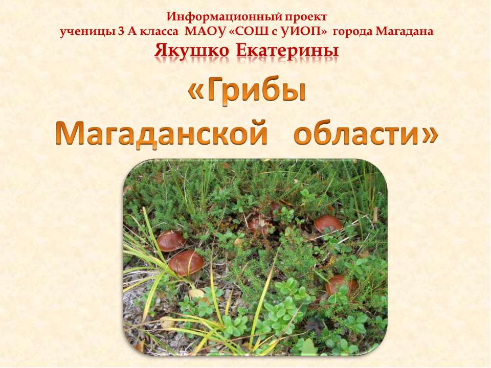 Грибы Магаданской области - Скачать презентации бесплатно | Читать или скачать учебники для школы онлайн бесплатно ☑ Школьные учебники school-textbook.com
