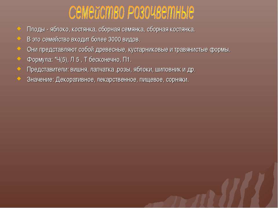 Семейство Розоцветные - Скачать презентации бесплатно | Читать или скачать учебники для школы онлайн бесплатно ☑ Школьные учебники school-textbook.com