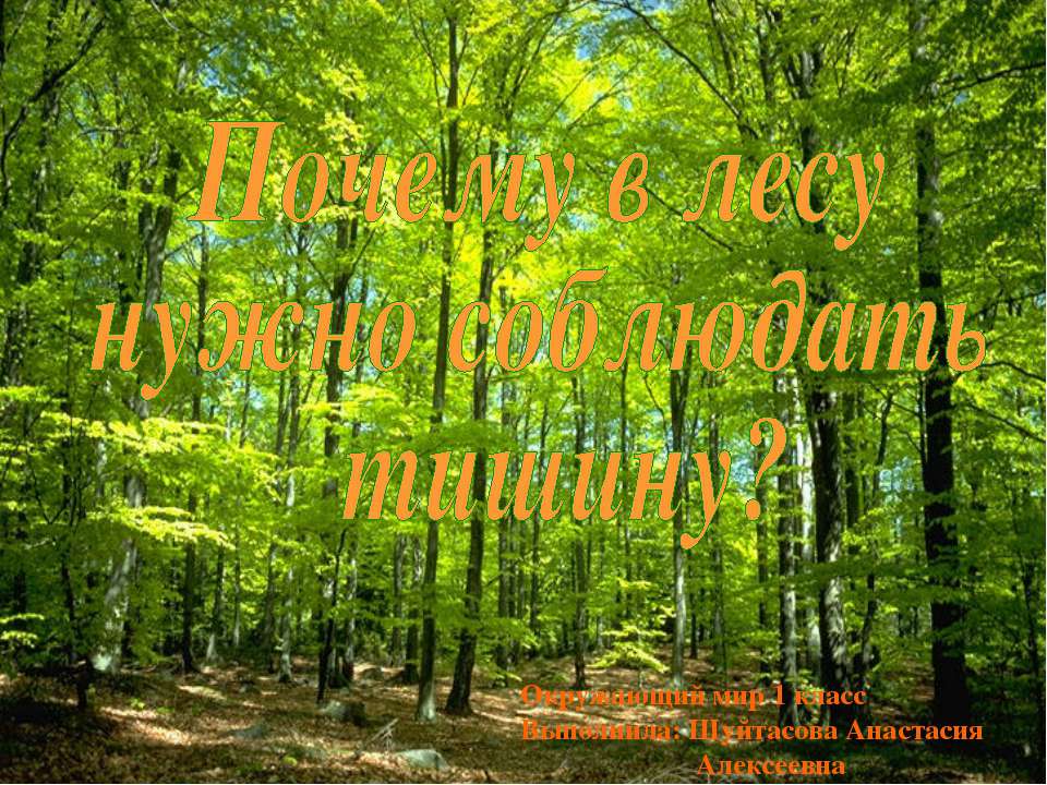 Почему в лесу нужно соблюдать тишину? - Скачать презентации бесплатно | Читать или скачать учебники для школы онлайн бесплатно ☑ Школьные учебники school-textbook.com