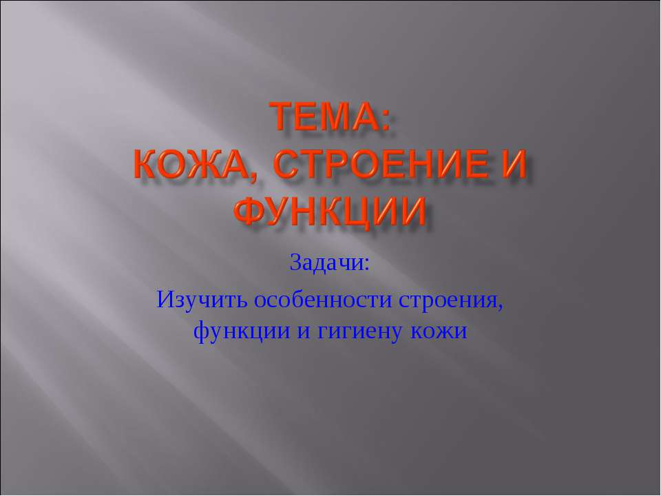Кожа, строение и функции  - Скачать презентации бесплатно | Читать или скачать учебники для школы онлайн бесплатно ☑ Школьные учебники school-textbook.com