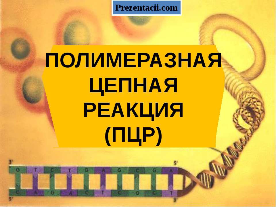 Полимеразная цепная реакция(ПЦР) - Скачать презентации бесплатно | Читать или скачать учебники для школы онлайн бесплатно ☑ Школьные учебники school-textbook.com