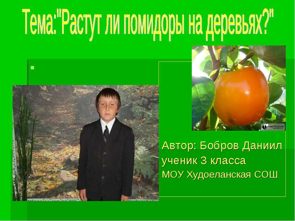 Растут ли помидоры на деревьях? - Скачать презентации бесплатно | Читать или скачать учебники для школы онлайн бесплатно ☑ Школьные учебники school-textbook.com